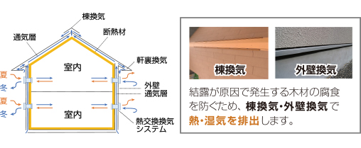 結露が原因で発生する木材の腐食を防ぐため、棟換気・外壁換気で熱・湿気を排出します。